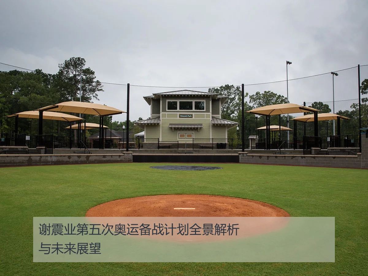 谢震业第五次奥运备战计划全景解析与未来展望